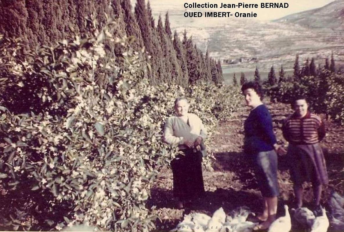 Oran- SDV- 4666-BERNAD.jpg